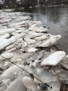 57417926641__1c8159ee-0b10-4d5e-9d36-dba7739b3f3f